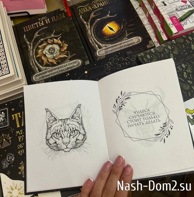 Елизавета Полыгалова: Не могу без собственной квартиры Елизавета Полыгалова: Не могу без собственной квартиры