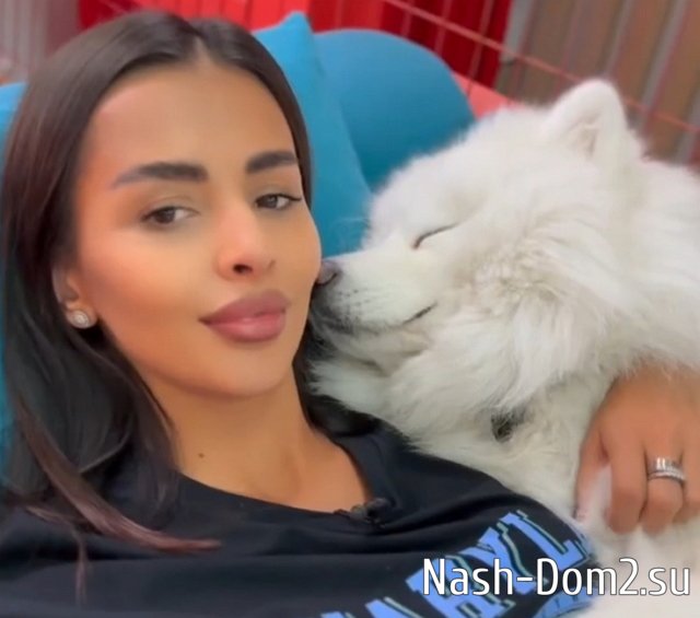 Бухынбалтэ призывает коллектив выгнать с проекта загулявшего Адеева Бухынбалтэ призывает коллектив выгнать с проекта загулявшего Адеева