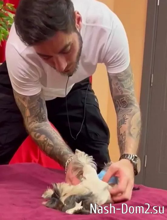 �������� ����������� � ������ � �������� ���������� ����� ������� � ������ �����