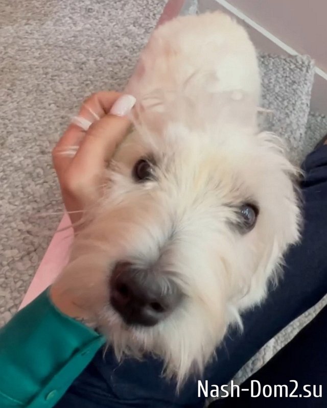 ����� ��������: � �� ������� ������ �������