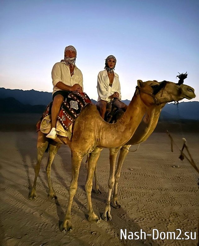 ���� �������: �� ���������� � ��������