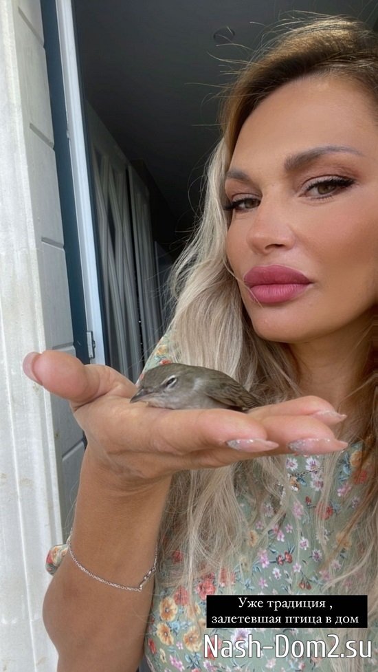 ������ ���������: ���� �������� �������, ������� �����