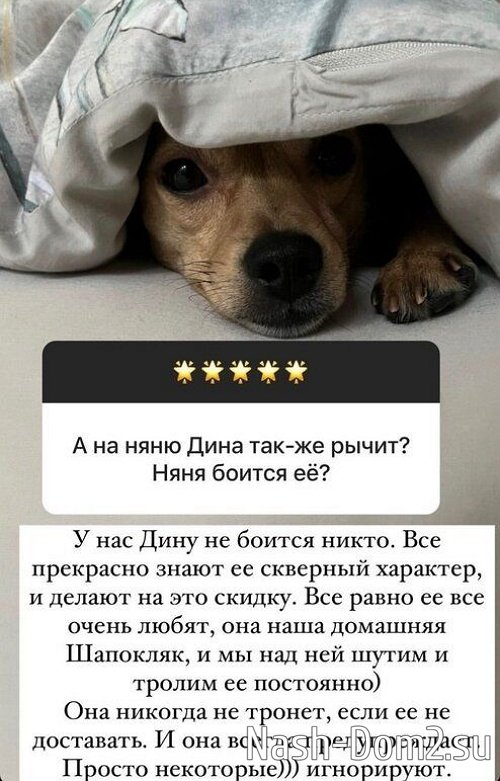 ����� ������ ����������, ������ �� ��� ������ ����, ������� � ��������