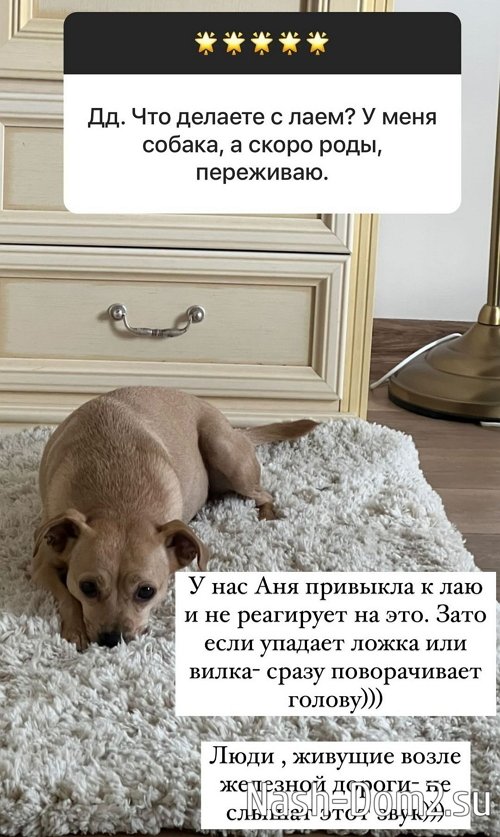 ����� ������: ��� ��������� ����!