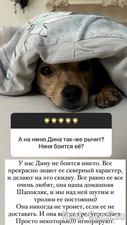 ����� ������: ��� ��������� ����!