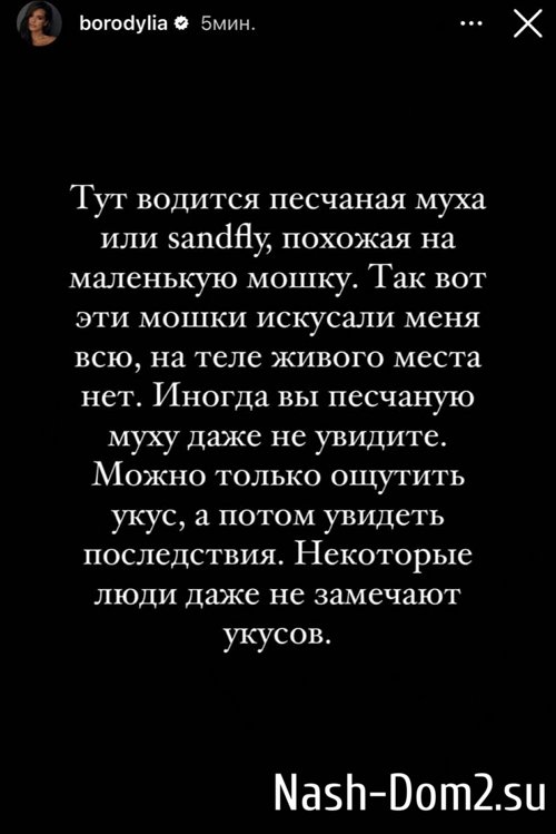 ������ ��������: �� ���� ������ ����� ���