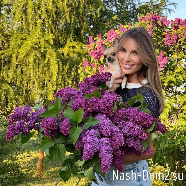 ����� ����� ���: �������� ���������