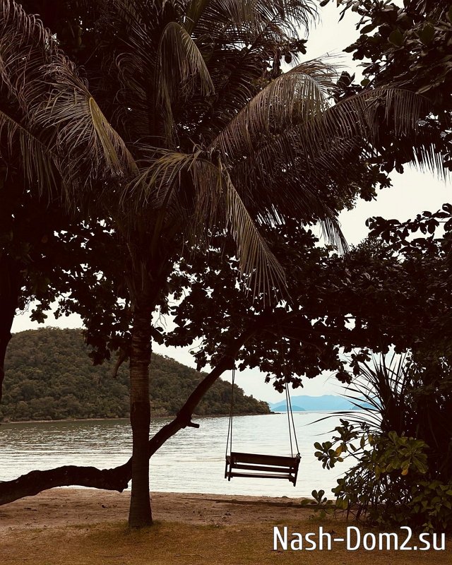 ������ ��������: ������ ������� ������ �����������