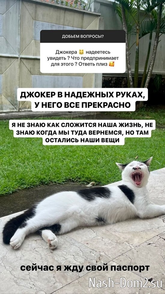 ��������� �������: � ���������� ��������������!