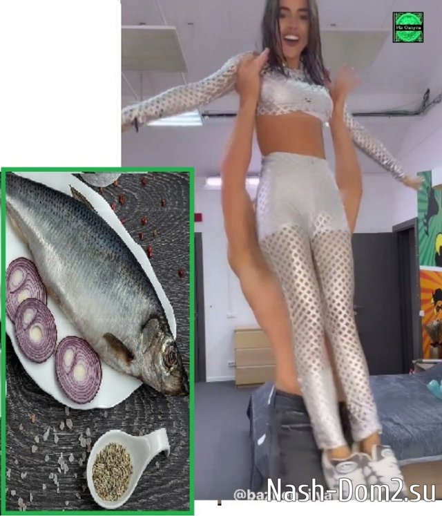 ������ � ��������� ��������� �������� (24.10.2023)