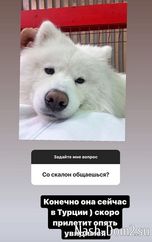 ���� ��������: ��� ������� ��������� ����