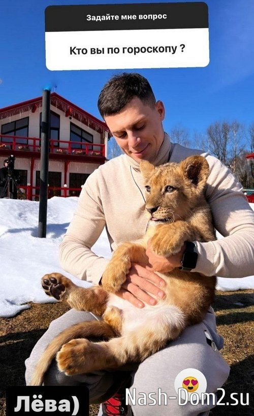 ���� ��������: ��� ������� ��������� ����