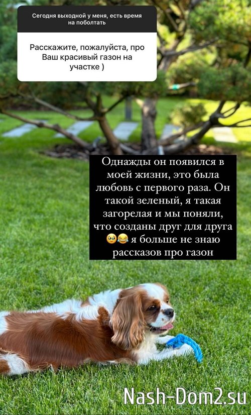 ������ ��������: � ����� �������, ��������������� ������