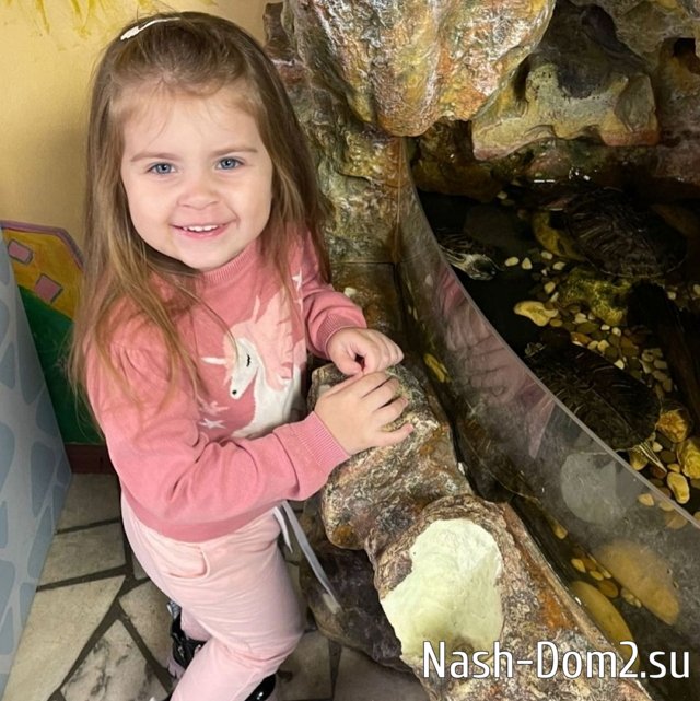 ���� ����� ���������� ����-2 (30.10.2023)