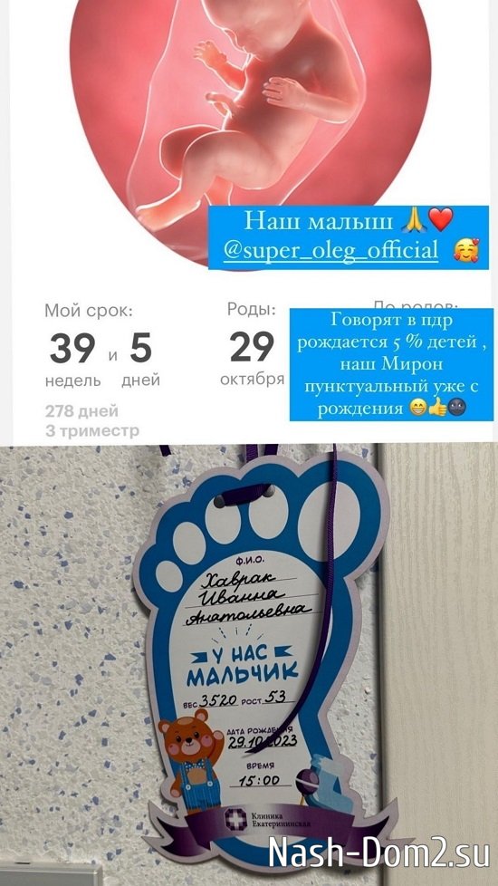 ������ ������: ��� ����� ������������ � ��������!