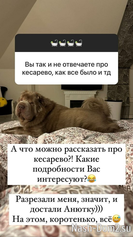 ����� ������: � ����� ����������� ���� ��� ��������...