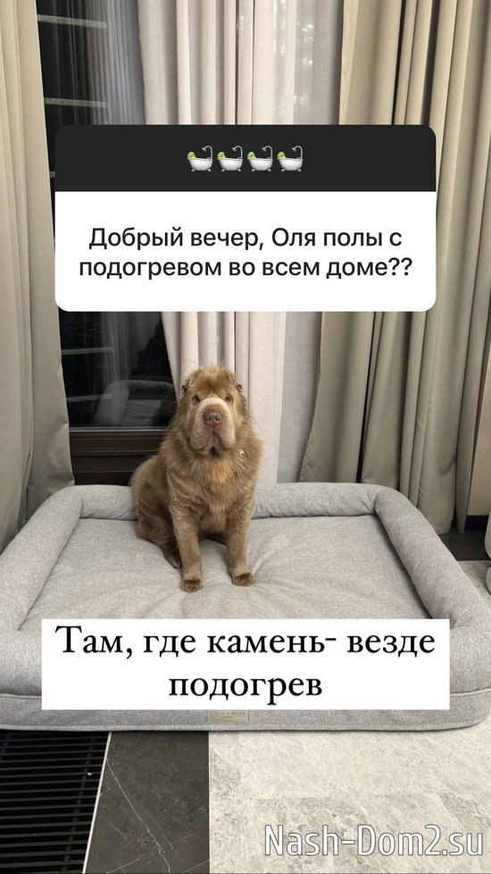 ����� ������: � ����� ����������� ���� ��� ��������...