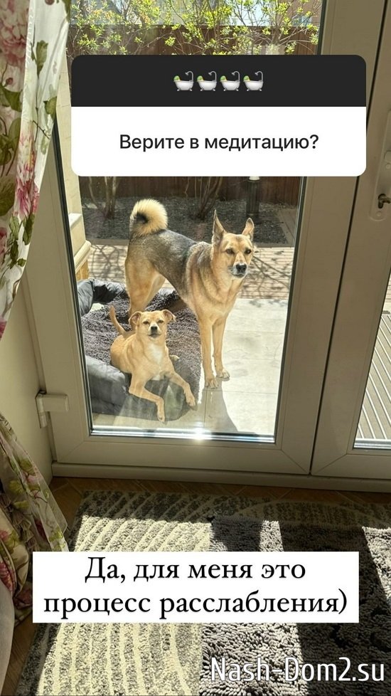 ����� ������: � ����� ����������� ���� ��� ��������...