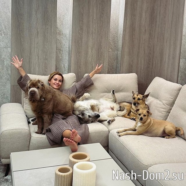 ���� �� ���������� (5.11.2023)