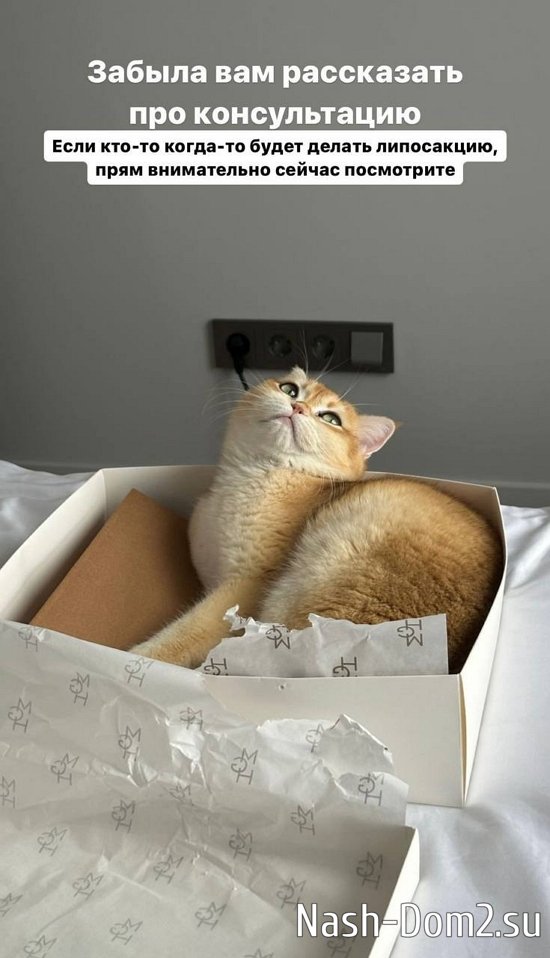 ������ �����������: � �� ������ ������ 7 ����