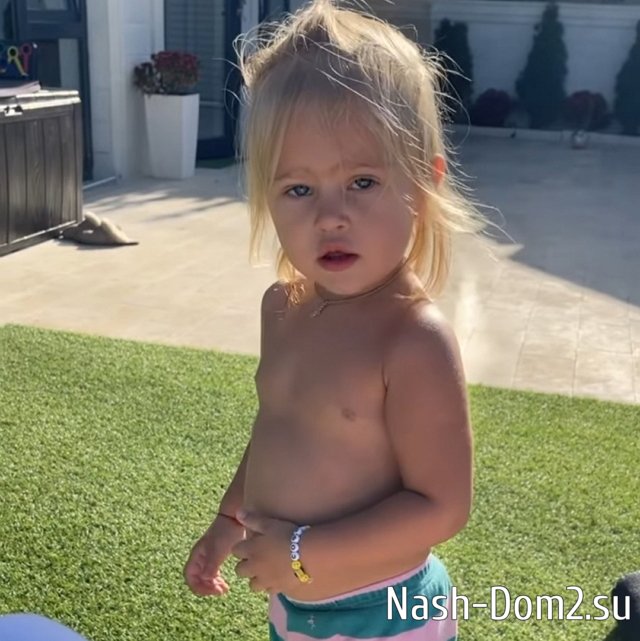 ���� ����� ���������� ����-2 (6.11.2023)