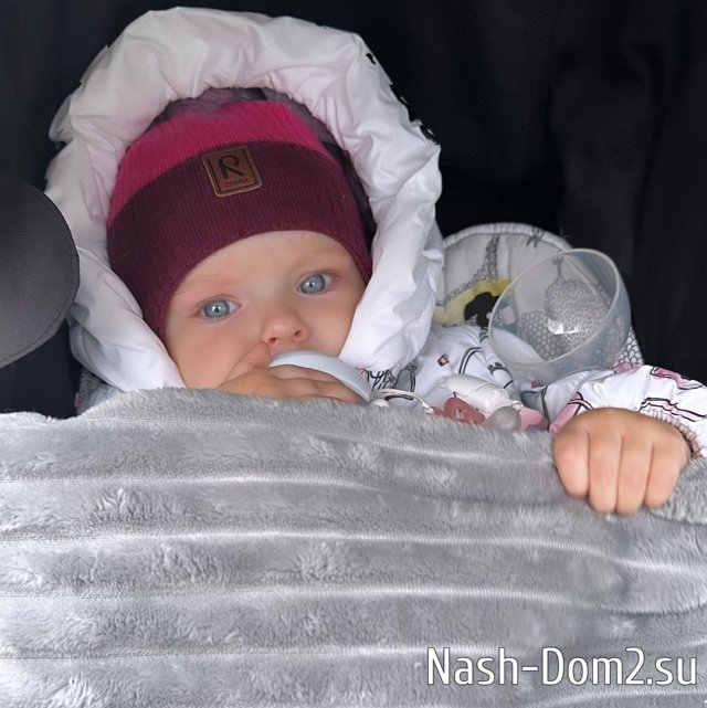 ���� ����� ���������� ����-2 (6.11.2023)