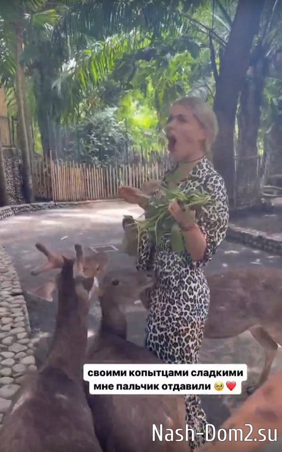 ��������� ������: � ��� ������ �� ��������...