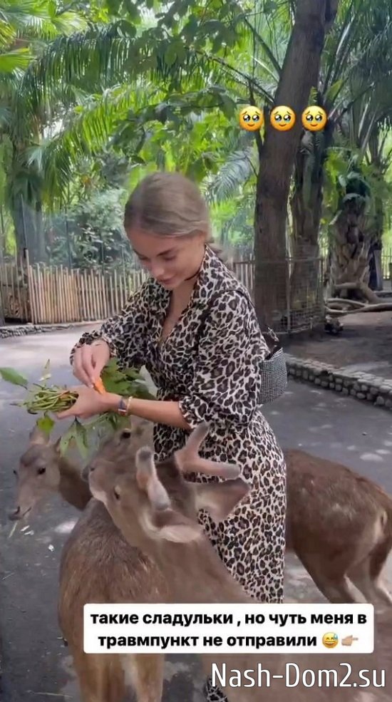 ��������� ������: � ��� ������ �� ��������...