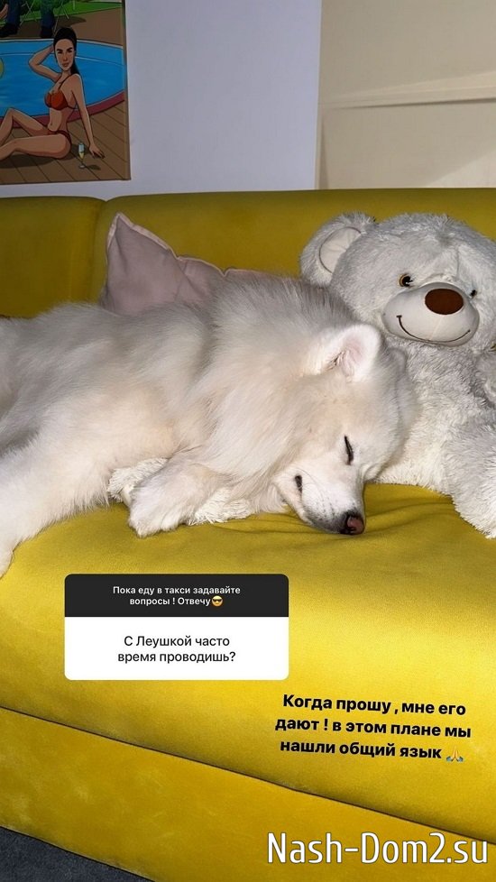 �������� ����������: � ���� ���� ����������, ���� ���...