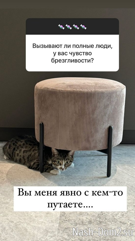 ����� ������: � ��� ���� ���������� ���� �� ����