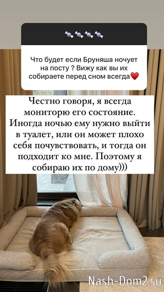 ����� ������: � ��� ���� ���������� ���� �� ����