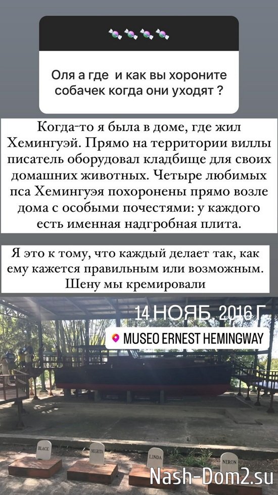 ����� ������: � ��� ���� ���������� ���� �� ����