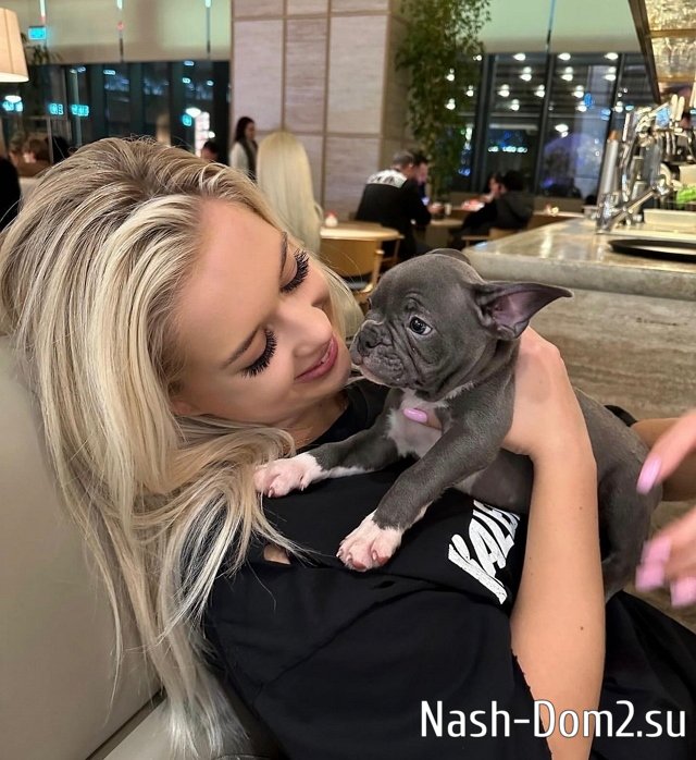 ���� �� ������ ���������� (9.11.2023)