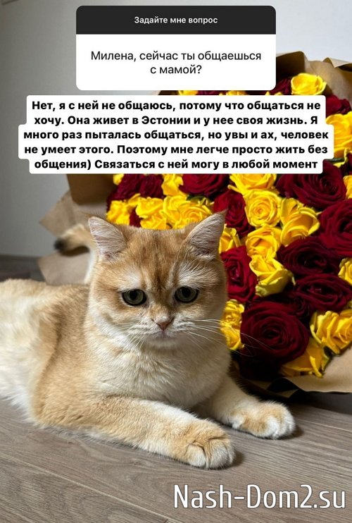 ������ �����������: ��� �� ��������, ��� ��� �������