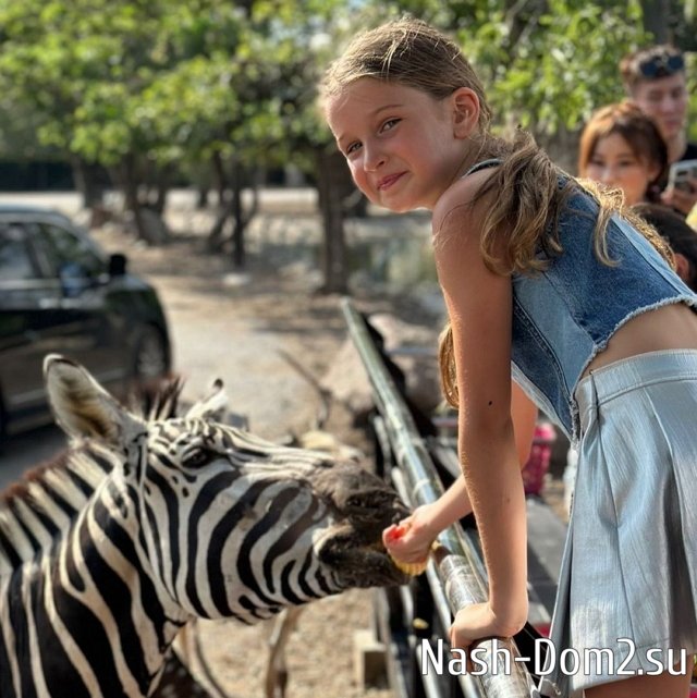 ���� ����� ���������� ����-2 (12.11.2023)