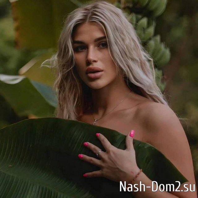 ���� �� ������ ���������� (13.11.2023)