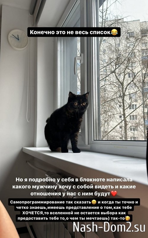 ���� ���������: �������� ���� ���������