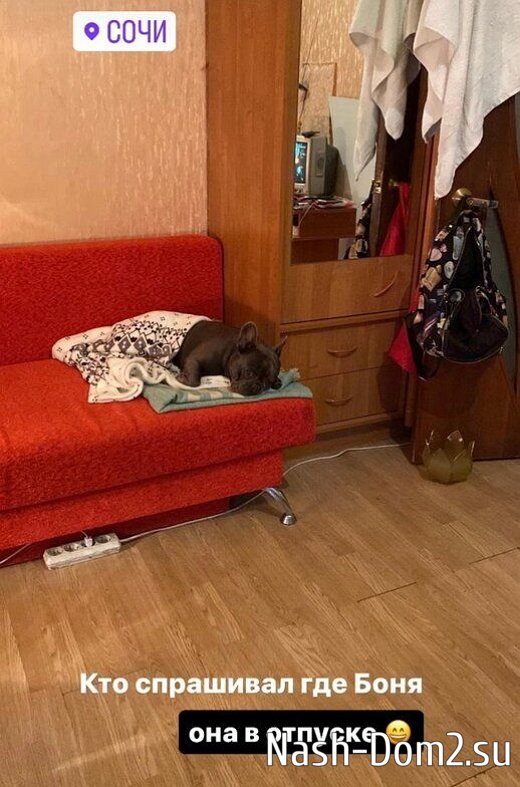 ���������� ������������ ����� ���������� � ������ ������ ����