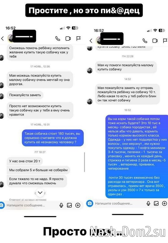 Майя Донцова: Нельзя так относиться к животным Майя Донцова: Нельзя так относиться к животным