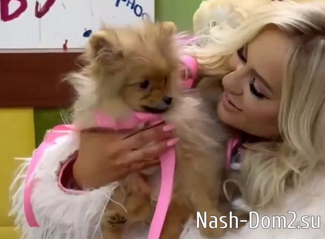 Саша Черно подарила Рахимовой на день рождения маленькую собачку