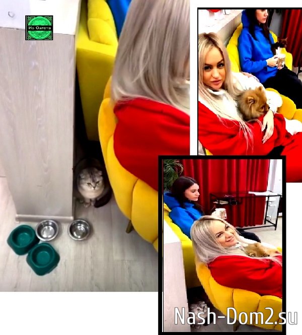 Мнение о последних проектных событиях (10.12.2023) Мнение о последних проектных событиях (10.12.2023)