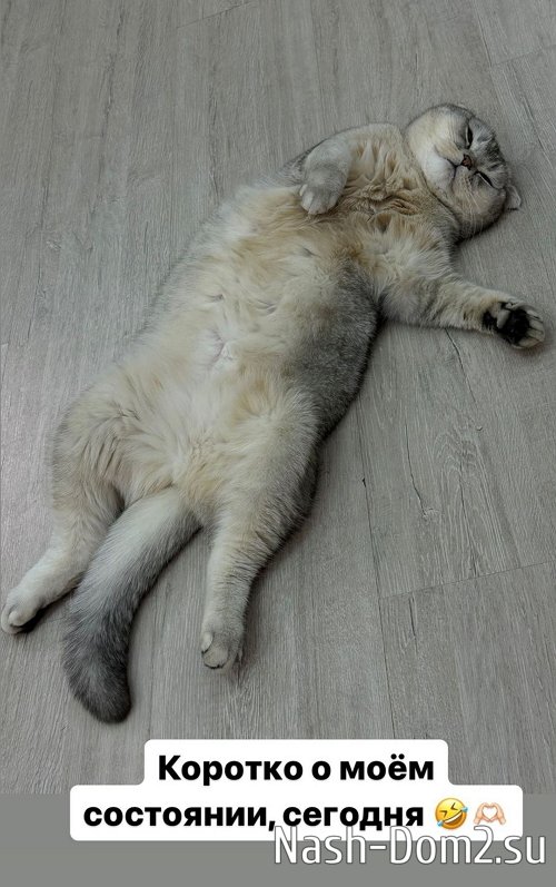 Александра Черно: Не причиняй, пожалуйста, мне боль Александра Черно: Не причиняй, пожалуйста, мне боль