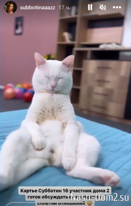 Стало известно о жизни Лизы Субботиной до проекта Стало известно о жизни Лизы Субботиной до проекта