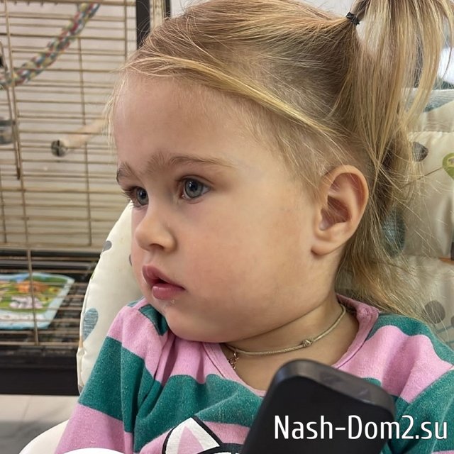 ���� ����� ���������� ����-2 (14.12.2023)