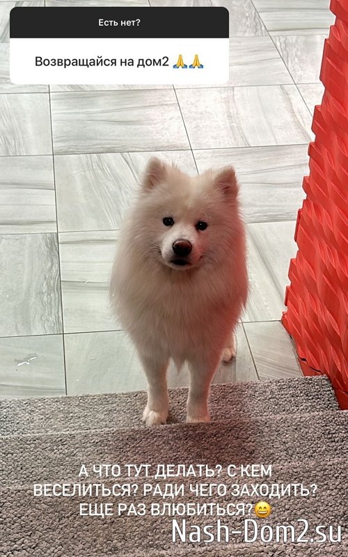 Алёна Опенченко: Когда я была на проекте... Алёна Опенченко: Когда я была на проекте...