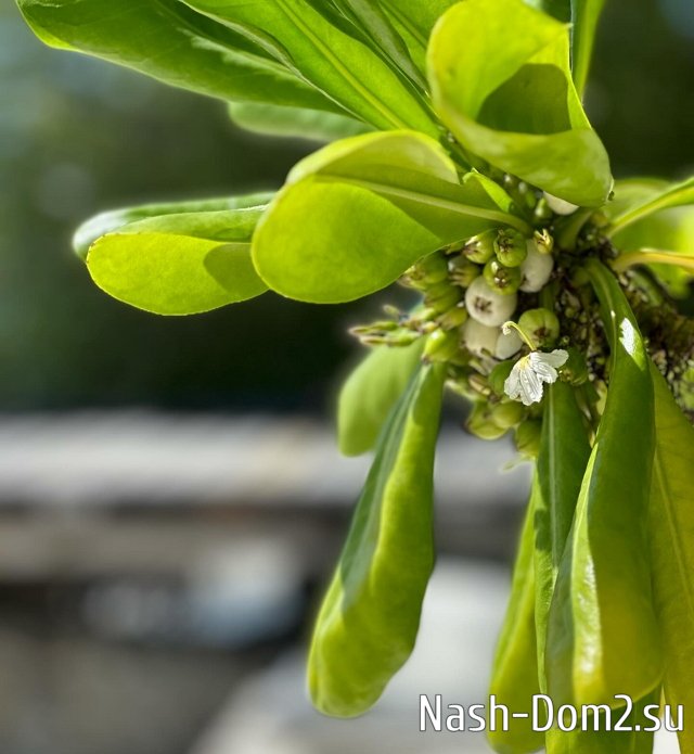 ���� ���������: ��������� ���� ����!