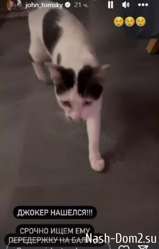 Супруги Ромашовы вернулись в Россию Супруги Ромашовы вернулись в Россию