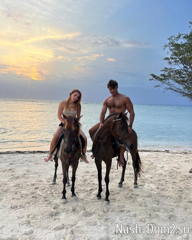 ���� �� ������ ���������� (23.12.2023)