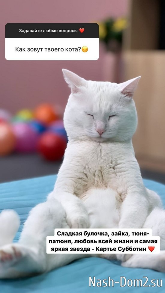 Елизавета Субботина: После новогодних каникул вернусь! Елизавета Субботина: После новогодних каникул вернусь!