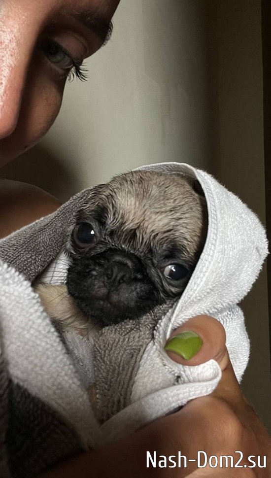 Елизавета Полыгалова: У меня теперь есть сынок! Елизавета Полыгалова: У меня теперь есть сынок!